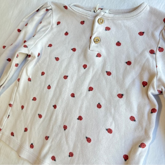 Long Sleeve Top and Wide Flare Pants Set - Picture 7 of 11